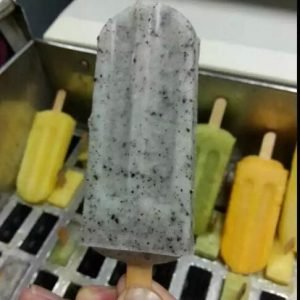 maquina elaboradora de paletas