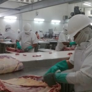 construccion de plantas de beneficio para ganado
