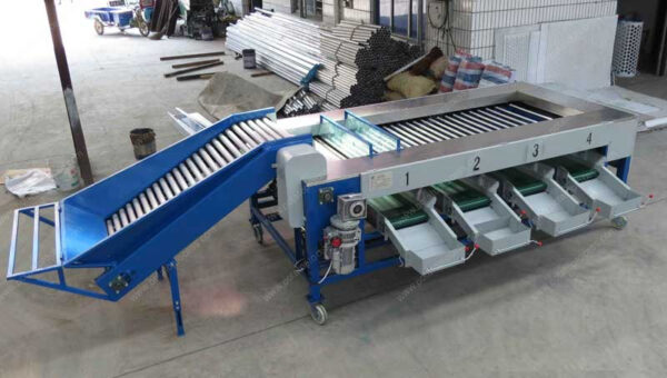 Maquina Clasificadora De Papa10 TONELADAS 220v ITEM WSO946TGO