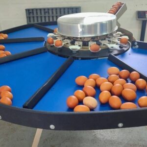 Cucharas Y Repuestos Para Maquinas Clasificadoras De Huevos 12 Cucharas NVJ768UYI